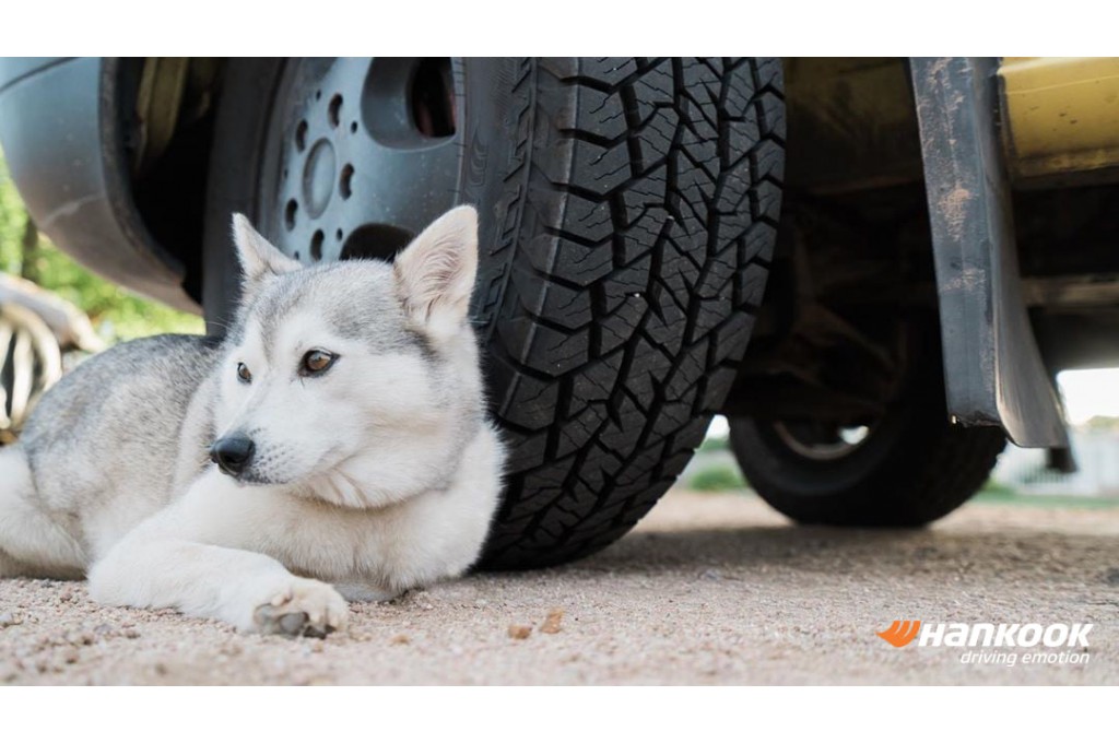 Hankook Tire Magyarország Kft.