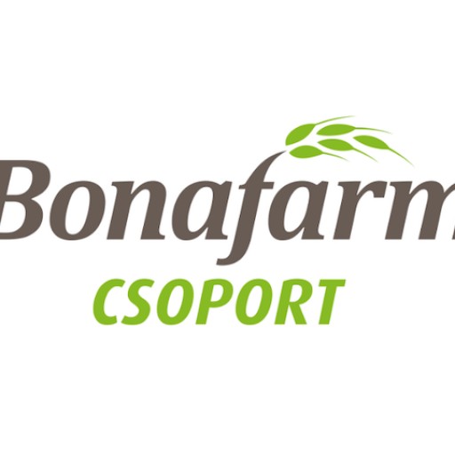 B.Csoport